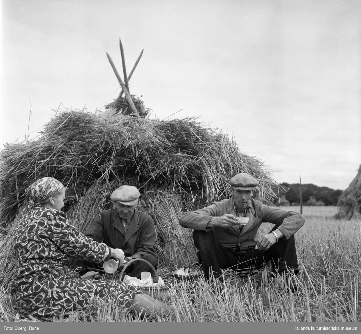 Trekaffe. Kafferast under skördearbete vid Ölmevalla kyrka. 
Bild 1: Gustav Morgan Magnusson, Knut och Maria Öberg med kyrkan i bakgrunden.