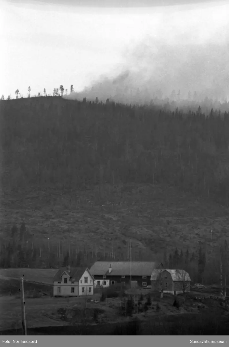 Skogsbrand på Bykullen i Sättna. I förgrunden syns en gård i Norrbäcken, Kovland.