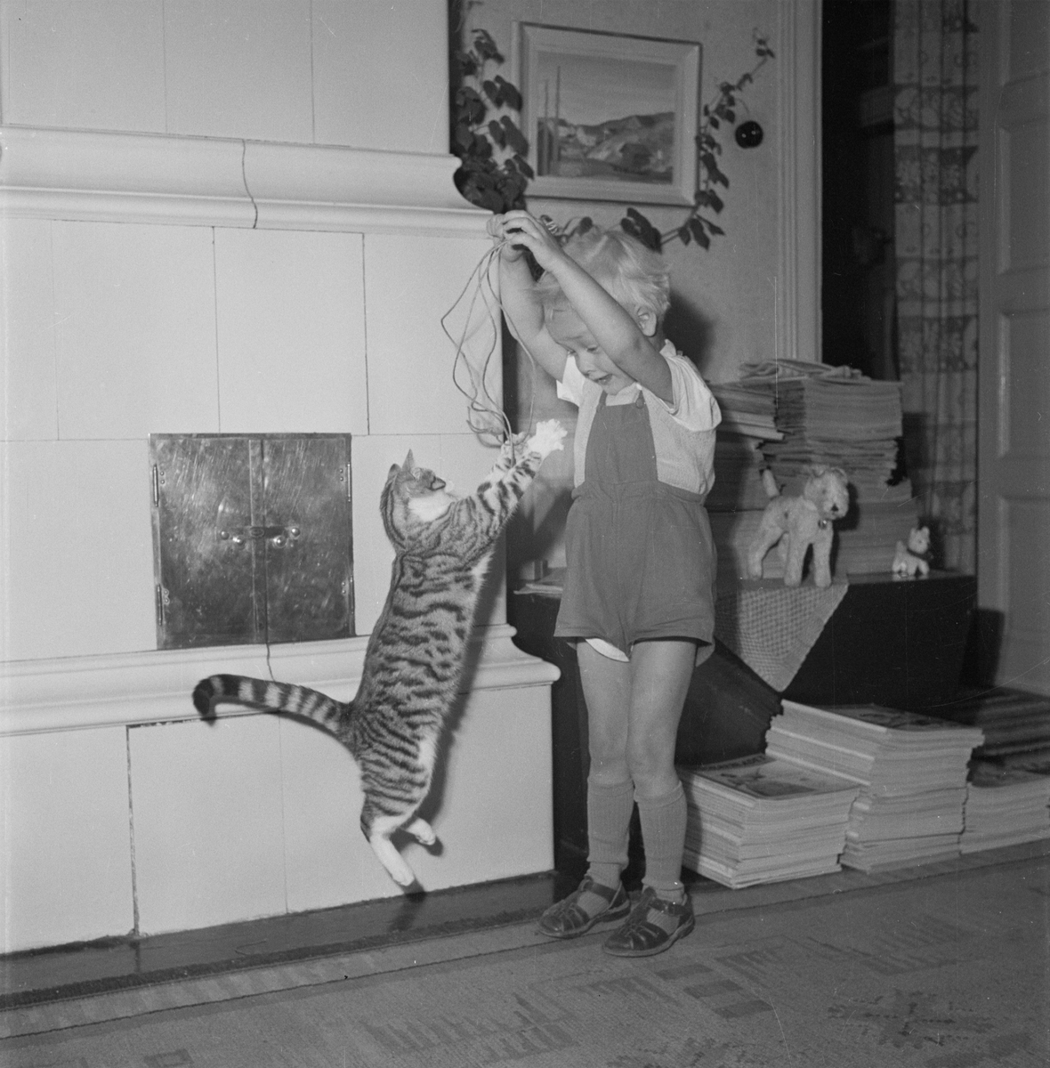 Pojke leker med katt, Uppsala 1954