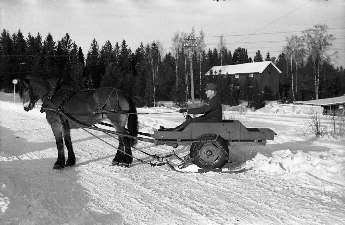 To bilder fra Hærens Hesteskole på Starum ca. årsskiftet 1957/1958. Bildene viser hest som trekker ei kjerre som er utstyrt med gummihjul, men hvor det er påmontert en slags ski for vinterbruk. Personen er ikke identifisert.