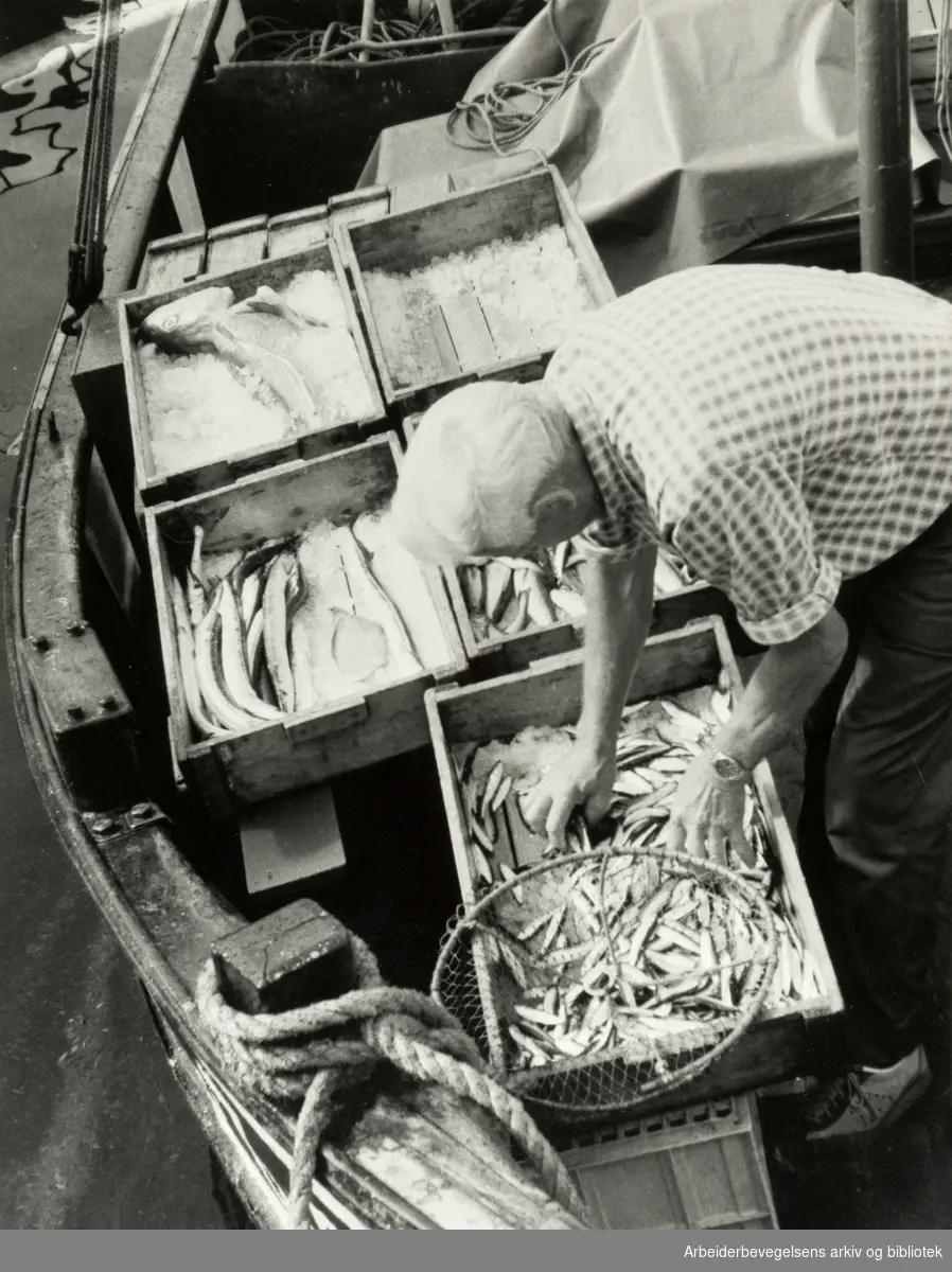 Havna. Fiskehandel. Juli 1985