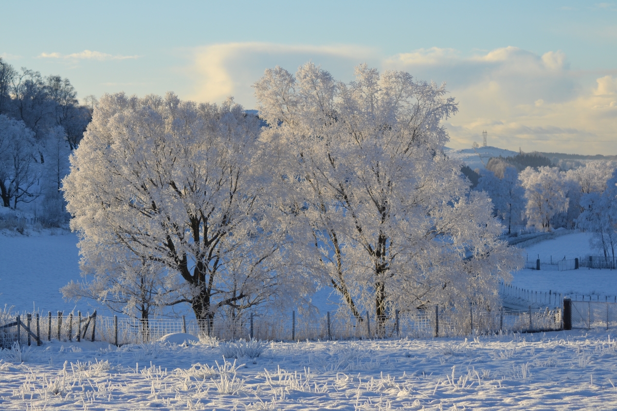 Vinterbilder frå Tjessheim.