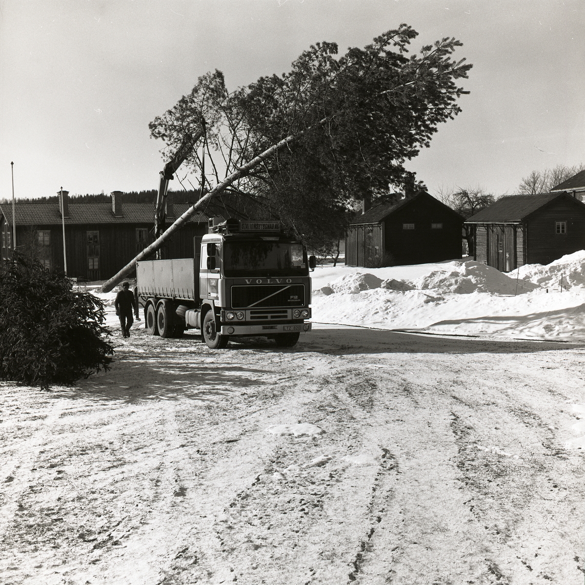 En lastbil med lyftkran står på en gård och tar ner träd, bredvid lastbilen är en man. Bakom är det några byggnader med fönster, tak och skorstenar. På gården finns det flaggstänger och på marken är det snö. I bakgrunden syns lite träd och en grå himmel. Helstamavverkning Hembygdsbyn Österböle 10 april 1988.