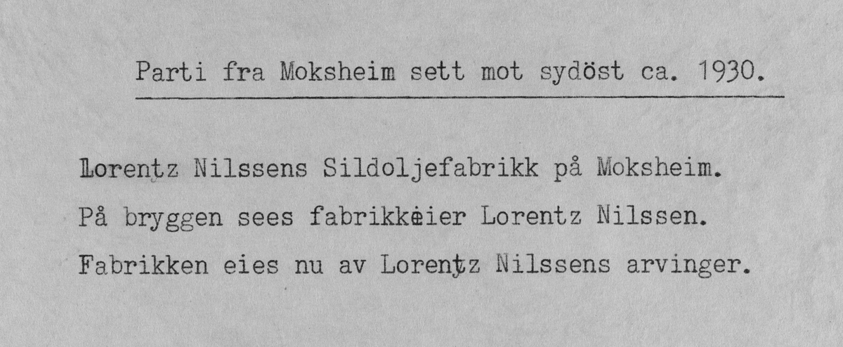 Parti fra Moksheim sett mot sydøst, ca. 1930.