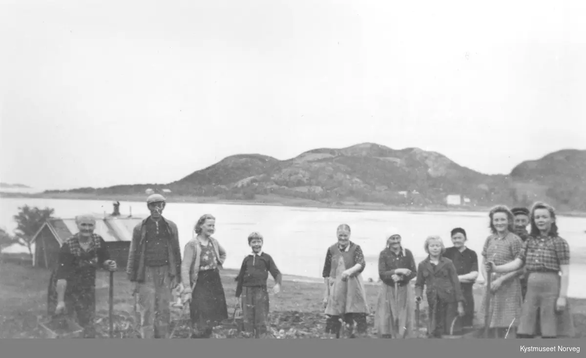 Nærøy, potetopptaking på Bakkan, Eidshaug i 1945