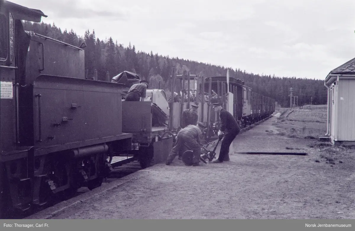 Lessing av stykkgods på Tråen holdeplass. Damplokomotiv type 21b nr. 252 med godstog til Rødberg.