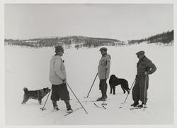 Tre menn på skitur med hunder