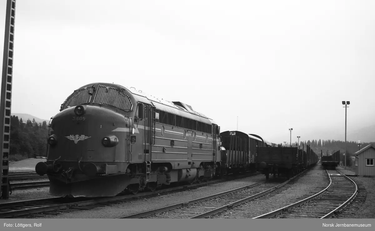 Diesellokomotiv Di 3 615 med godstog til Bodø på Grong stasjon.