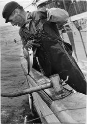 Hans Holme fisker makrell på båten "Emily" av Utsira