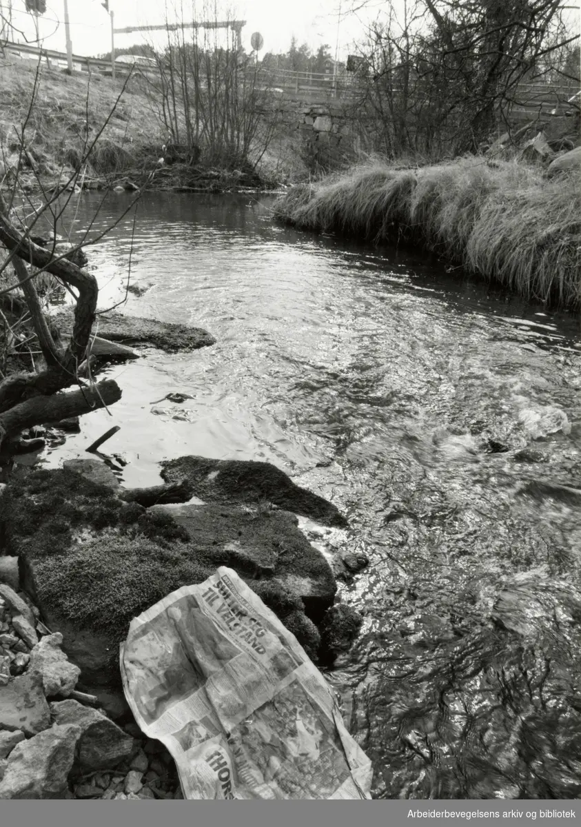 Ljan. Ljanselva. Rusken-aksjon langs elva. April 1992