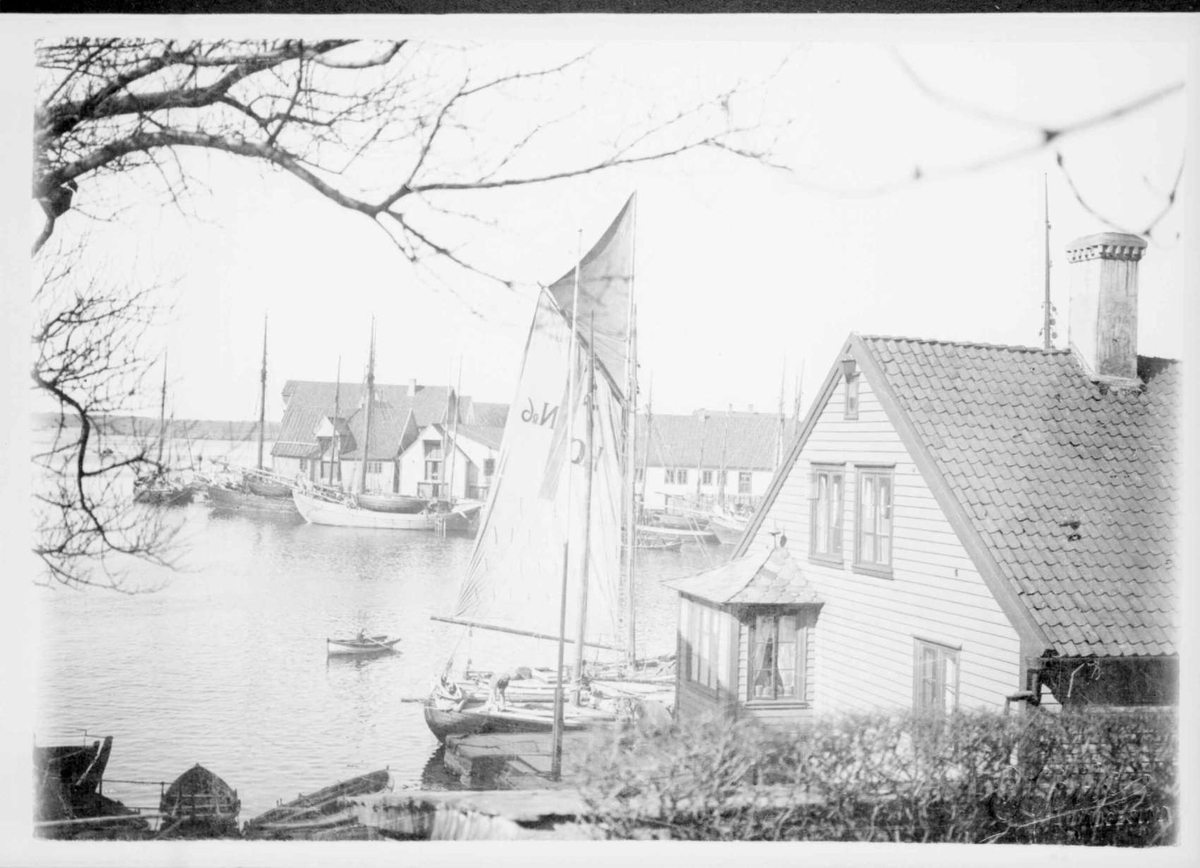 Repro: Havnebilde med hus og båter. Uskarpt bilde.