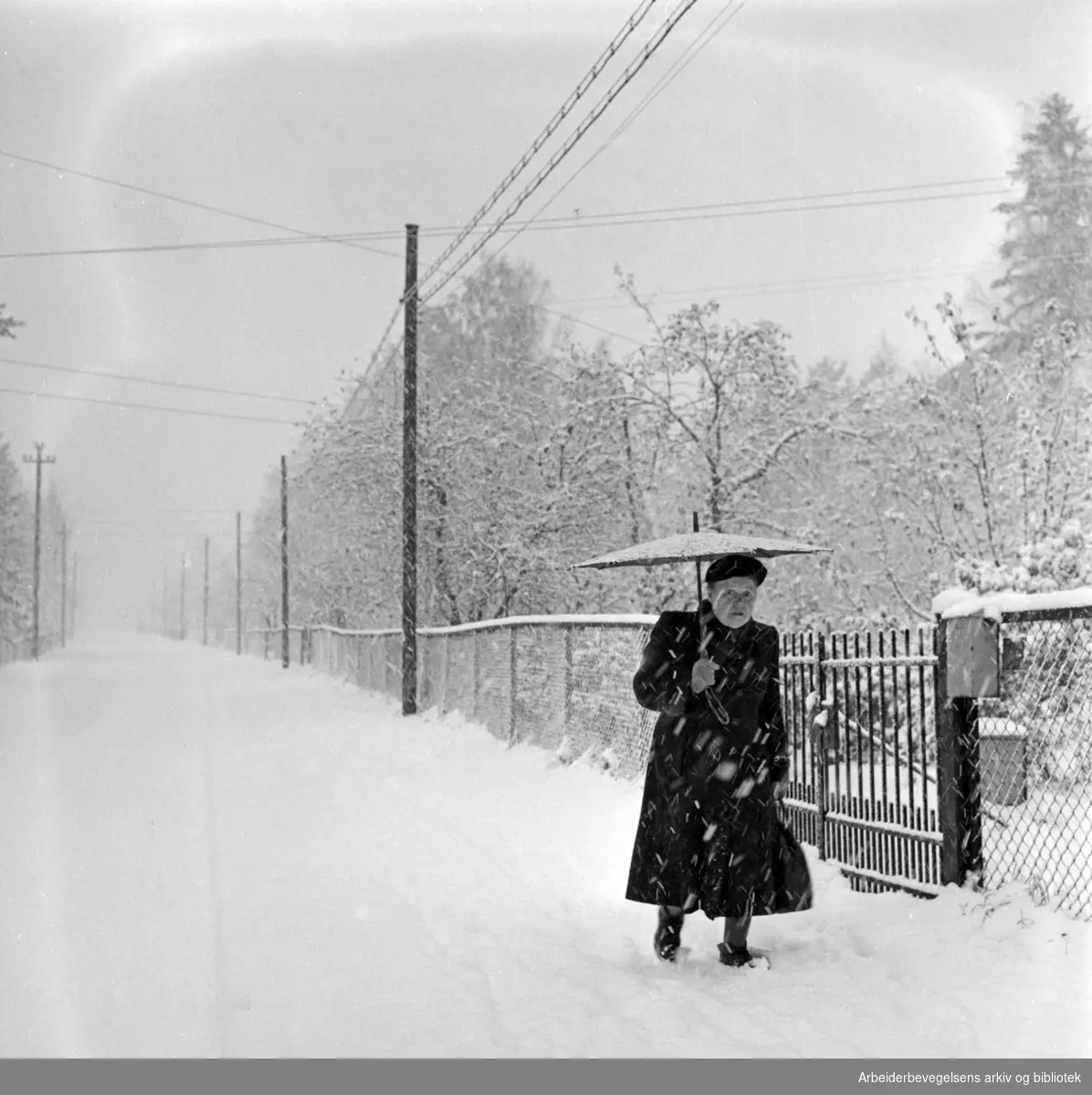 Den første snøen, vinteren 1960. Dame med paraply i snøvær. Ukjent. 01.11.1960.
