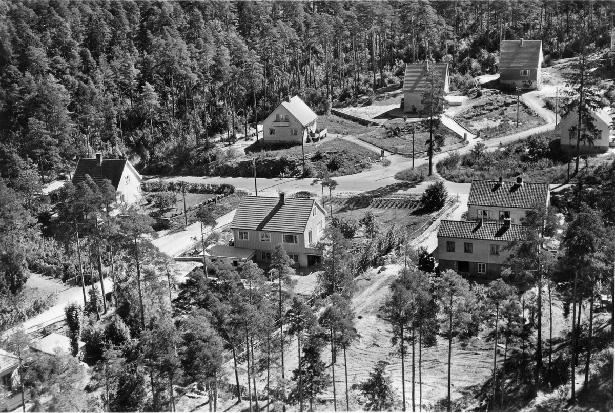 Flyfotoarkiv fra Fjellanger Widerøe AS, fra Porsgrunn Kommune. Øyekast. Fotografert 08.08.1959. Fotograf J. Kruse