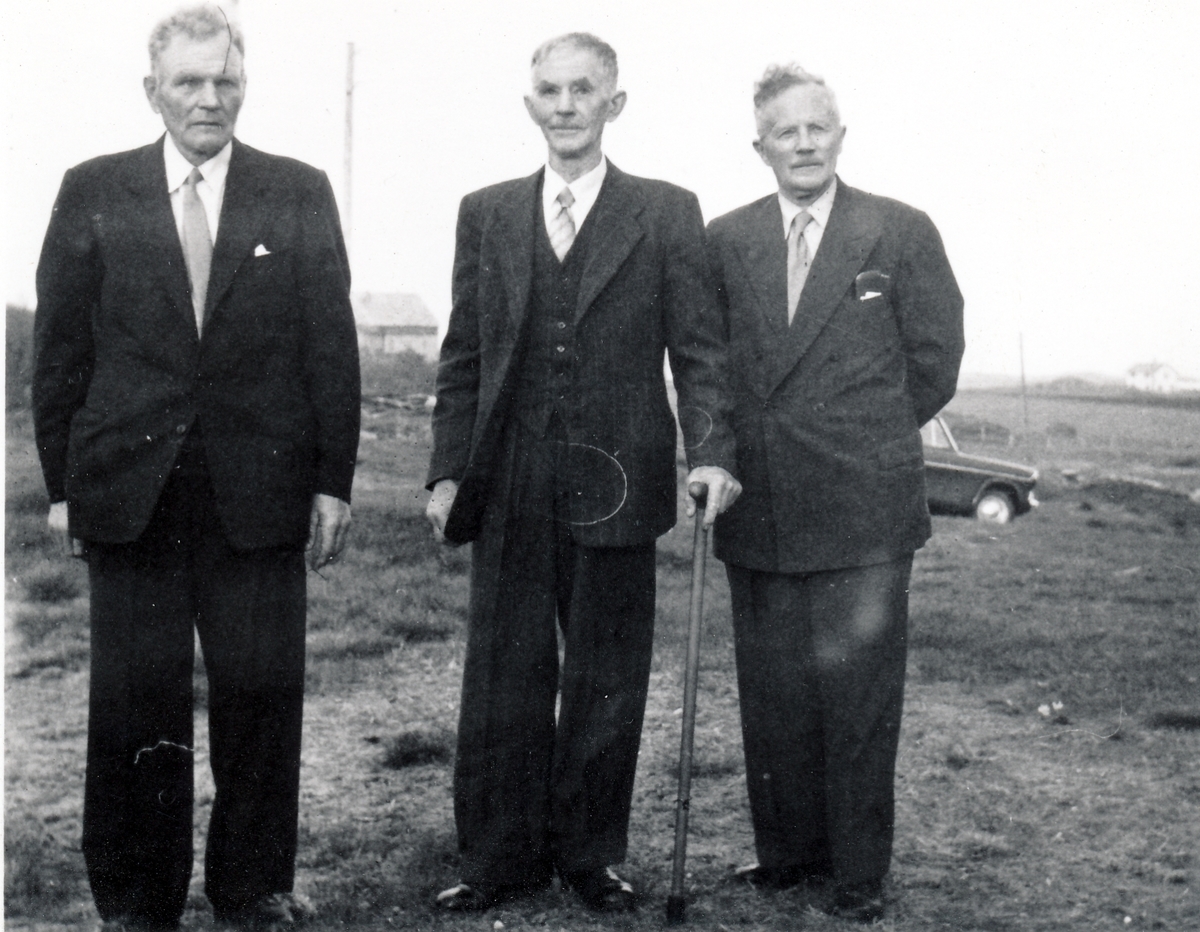 Tre brødre på Ryvoll, Stangnes, Tranøy 29.mai 1960