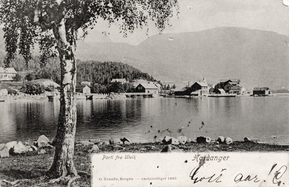 Postkort: Ulvik, Ulvikfjorden