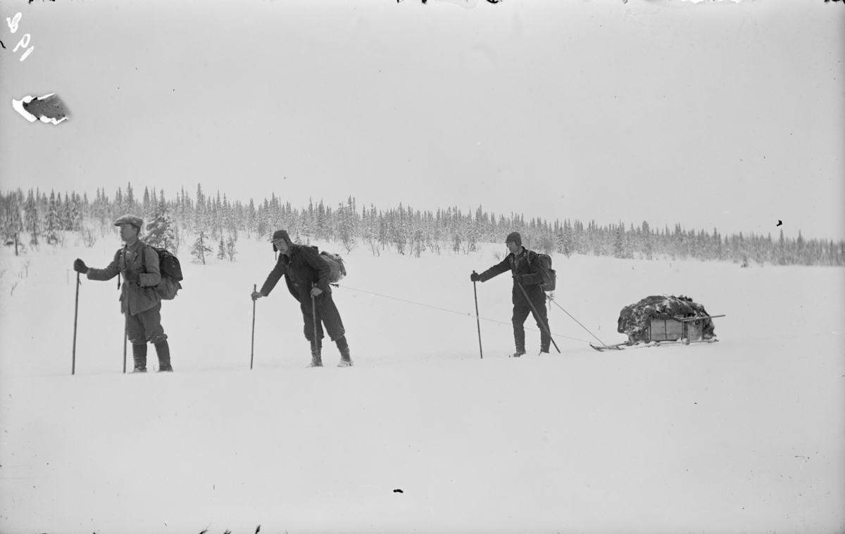 Tre jegere på ski med en skikjelke bak. Ei hagle henger utenpå kjelken. Nummer to er fotografen Karl Olav Moe.