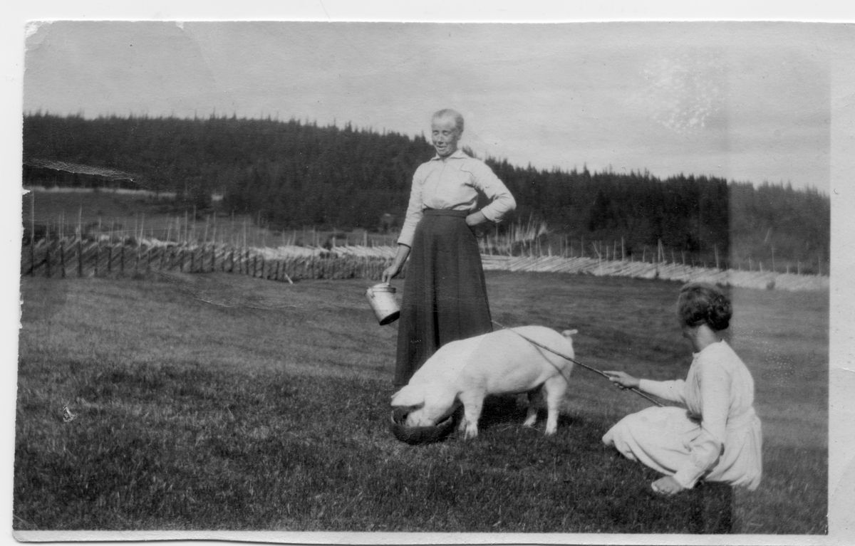 Stølsliv med folk og gris på Gamlestølen Sørre Hansegarden 58/6 ca. 1926.