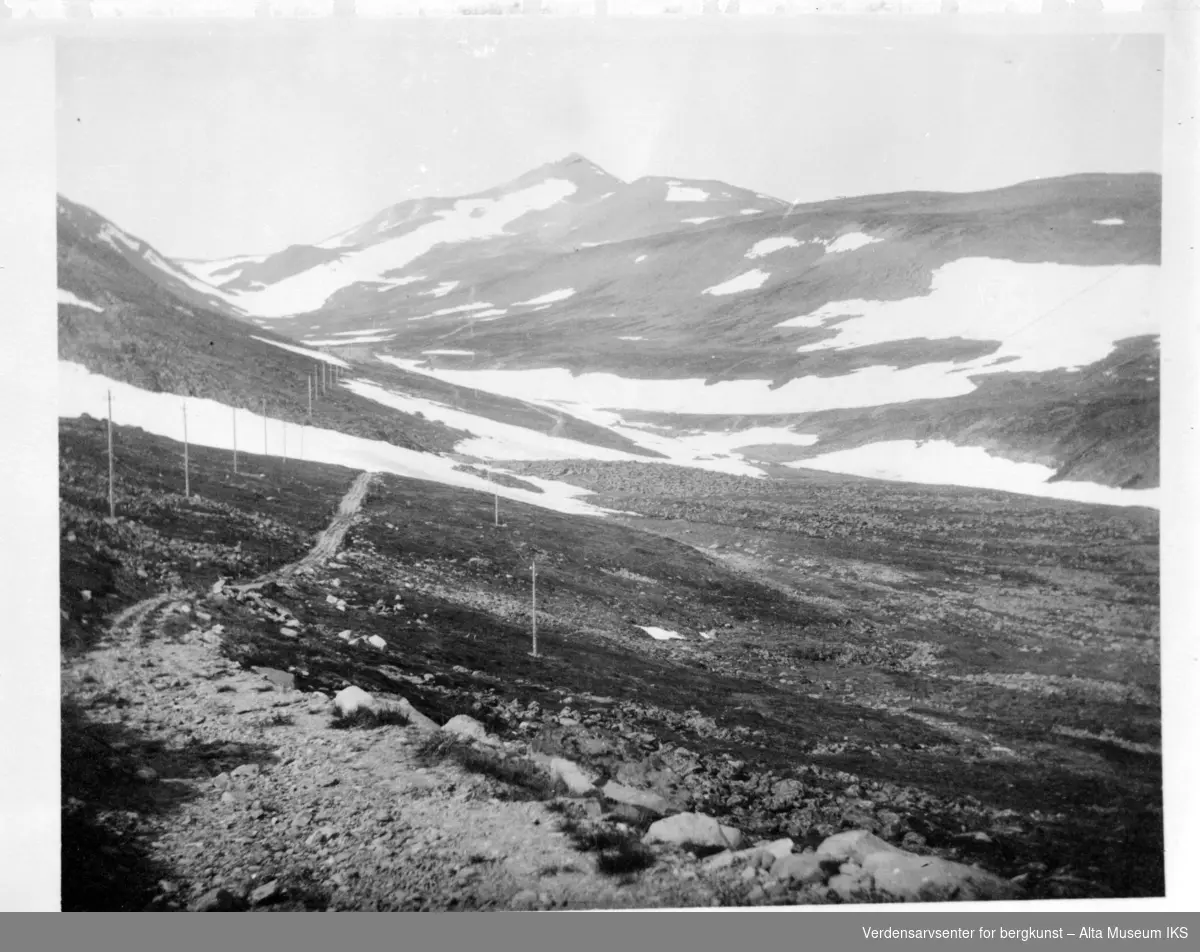 Telegraflinje på Haldde, på bildet ser vi en vein og flere snøflekker.