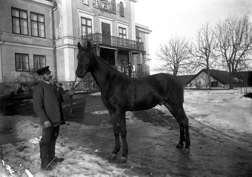 Häst framför Kristiansborgs herrgård, Västerås.