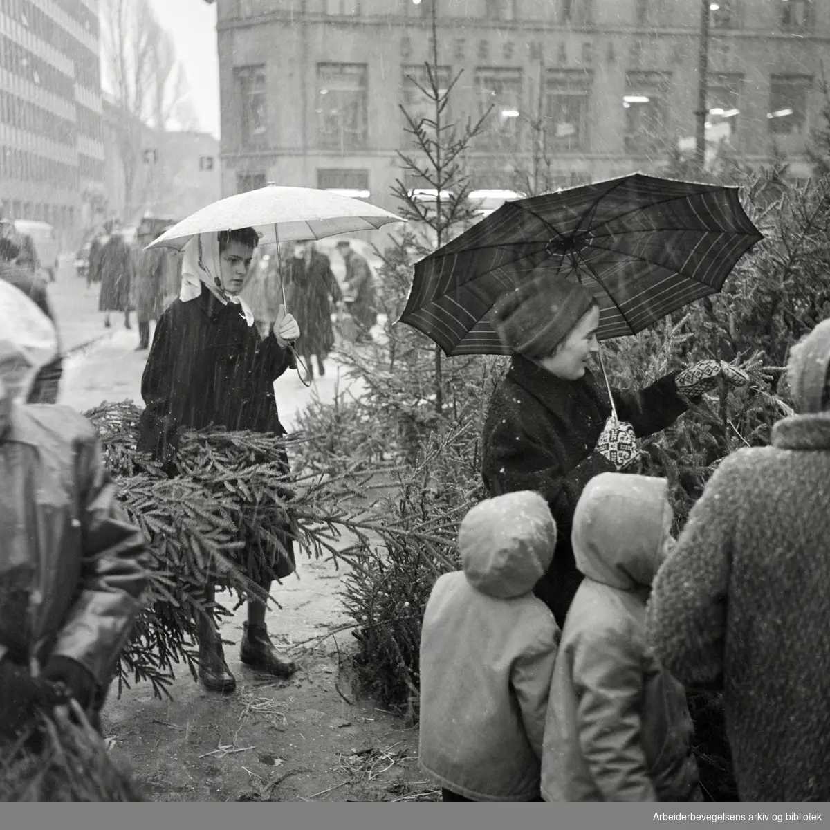 Juletre-handel på Youngstorget. 17. desember 1959.