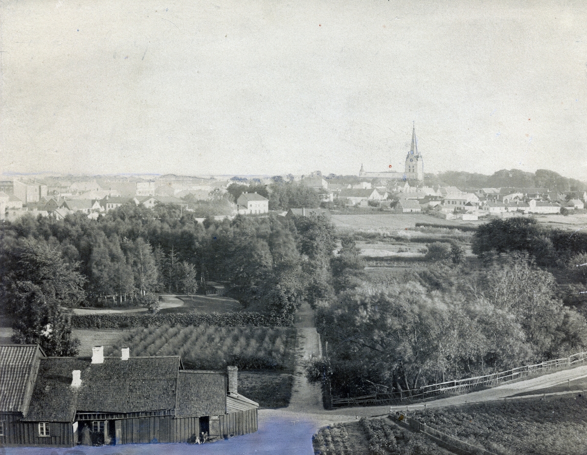 Halmstad på 1890-talet.
Vy taget från torntrapporna på Galgberget.