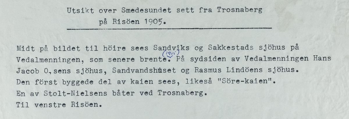 Utsikt over Smedasundet sett fra Trosnaberg på Risøy, 1905.