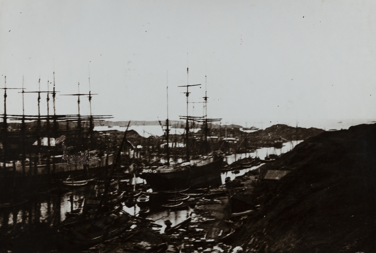 Haugesjøen sett fra sydøst, 1900.
