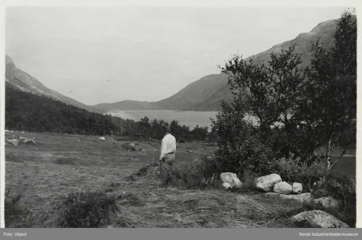 Mann står ved beite på Skindalen og ser ut mot innsjøen Møsvatn
