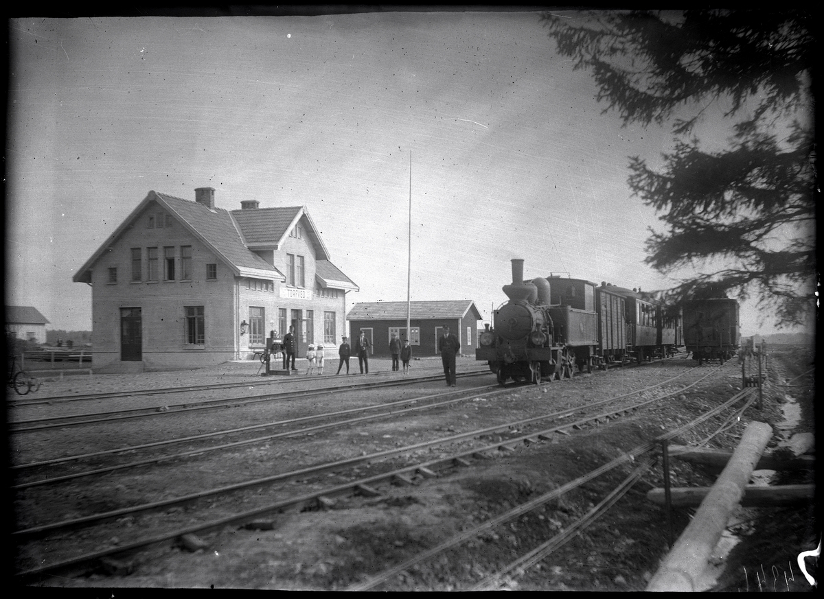 Torveds järnvägsstation med tåg och vagnar stående på spåret juni 1917