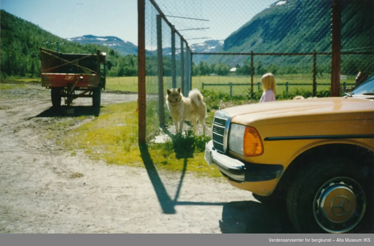 Bilde av hund og barn med personbil i forgrunnen og lastebil i bakgrunnen