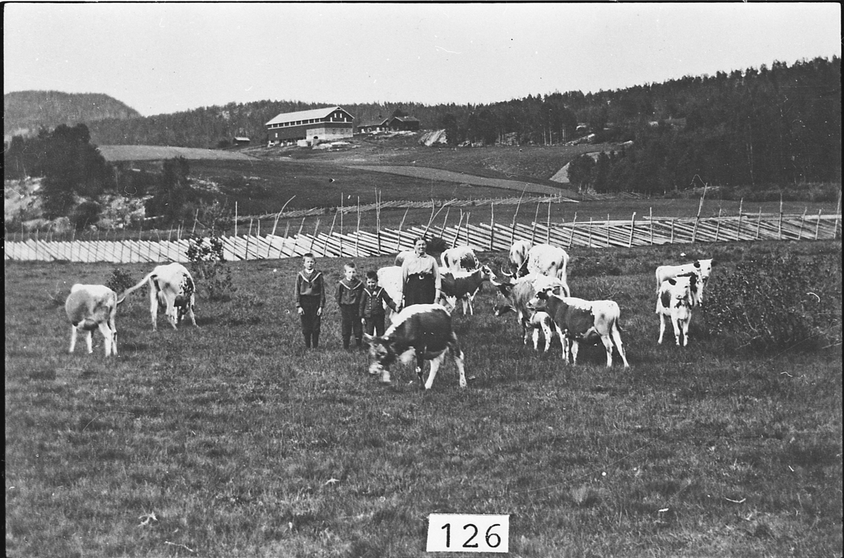 Kvinne og gutter med telemarksfe på Østre Blegeberg, ca. 1921.I bakgrunnen skigard og låve bygd i 1912. Gammel sommerstue lengst til høyre. Kjellerbu lengst til venstre.