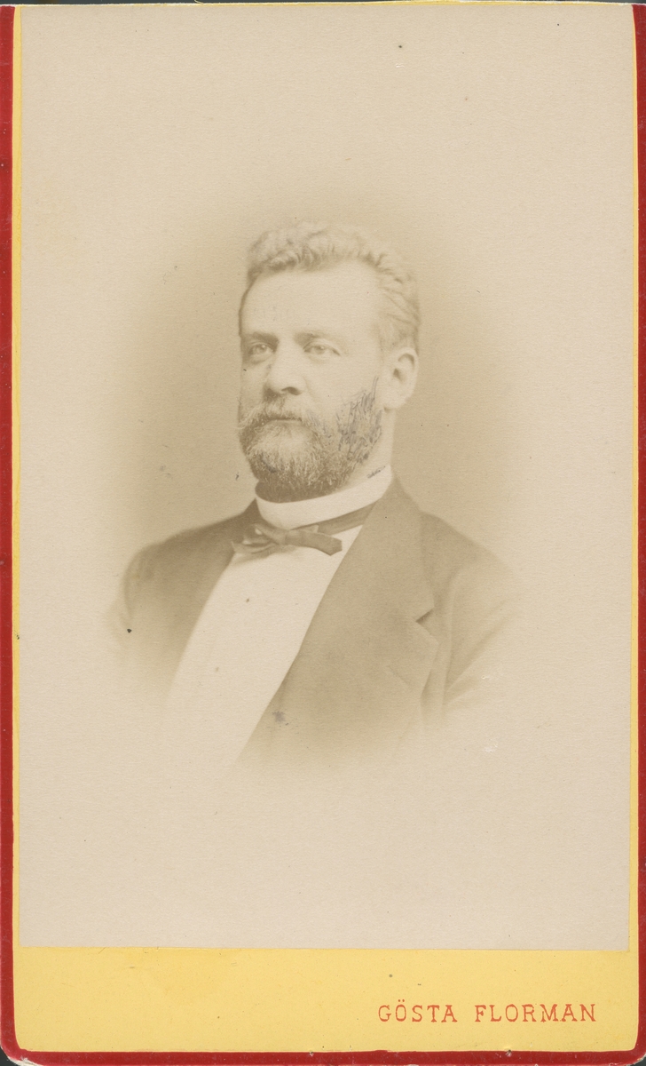 Carl Christoffer Frithiof Mellin, borgmästare i Gävle från 1884(5) till sin död 5/10 1898.