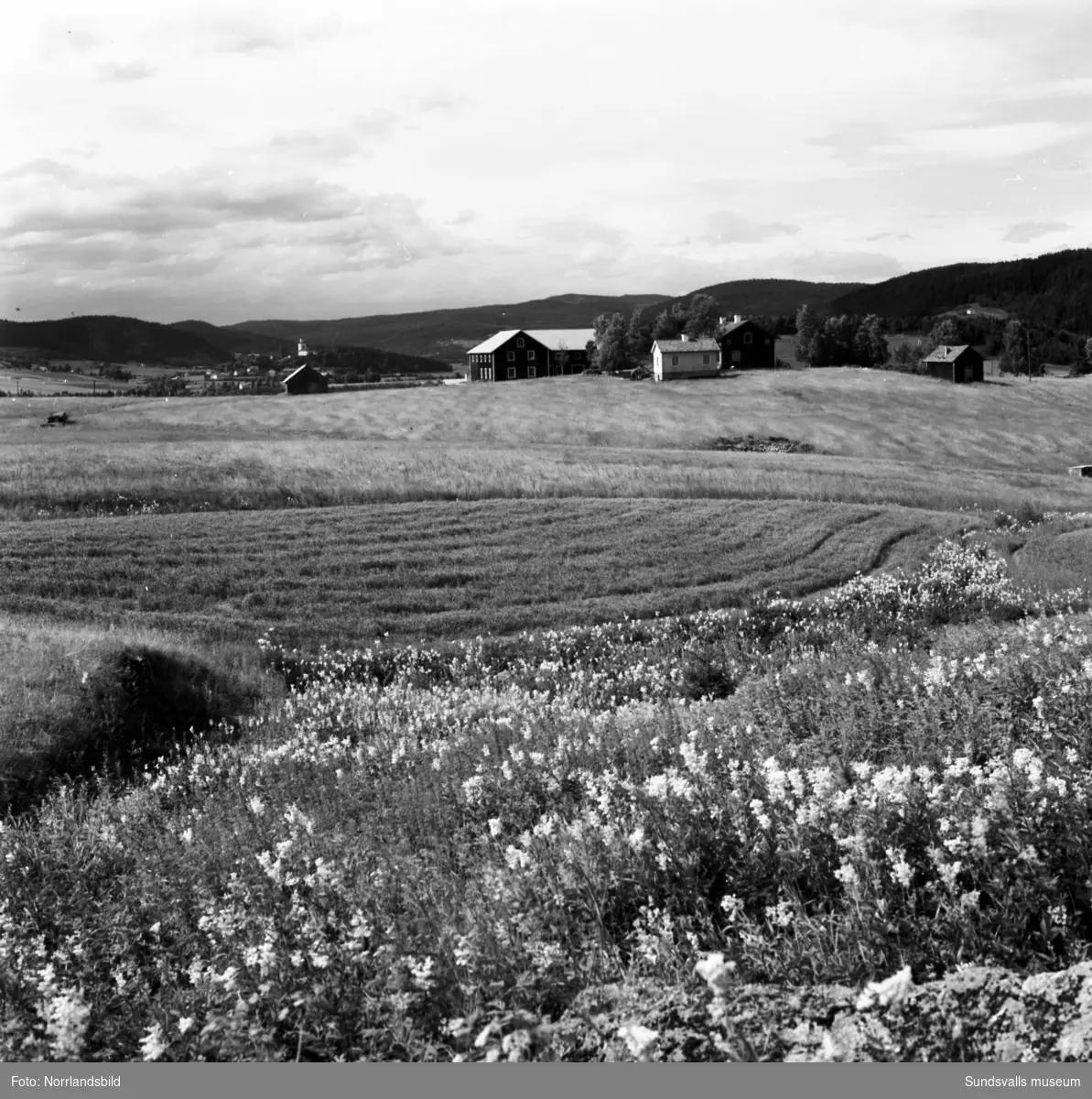 Landskapsvyer över Ljustorp fotograferat från Högland (bild 1) respektive Frötuna (bild 2).