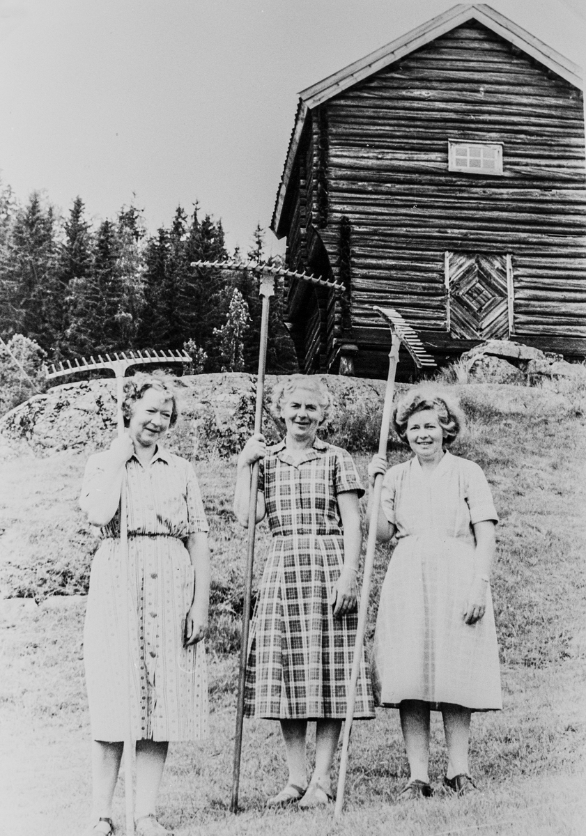 Rakstejenter foran stabburet i nedre Skåla, omkring 1965.
