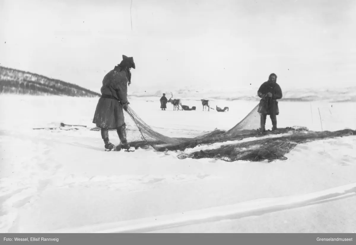 Garnfiske under isen på Langfjorden, Sandnes, Sør-Varanger. To menn klargjør garnet og en står i bakgrunnen med rein og pulk.