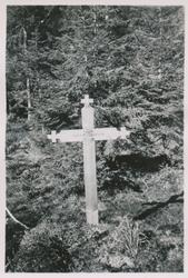 Grav nr. 14 i Falstadskogen, fotografert 1945-49. Korsene av