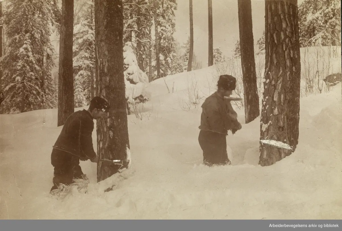 Tømmerhoggere i arbeide på vinteren, ca. 1915 - 1925.