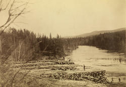 Tømmerstilling ved Rotna. Grue på Finnskogen. .Ca. 1910 - 19