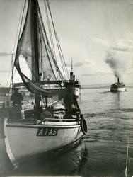 Fjordbåter i Oslo havn.