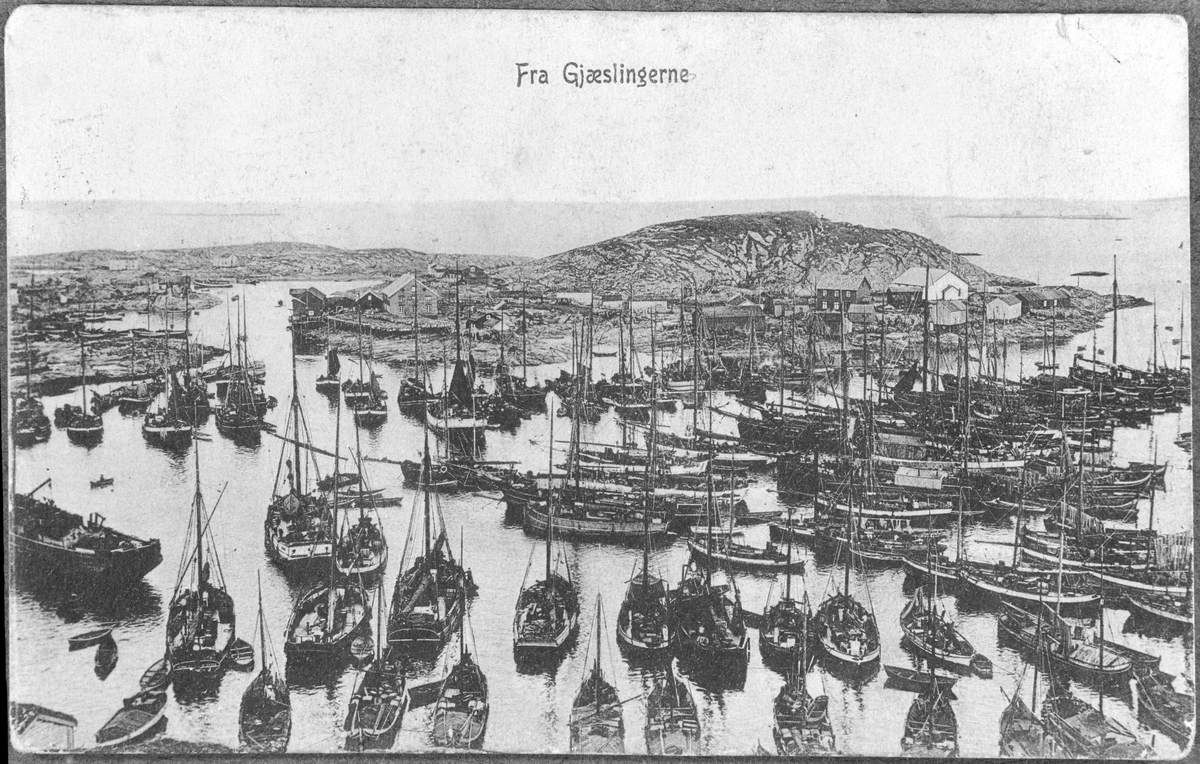 Postkort "Fra Gjæslingan"