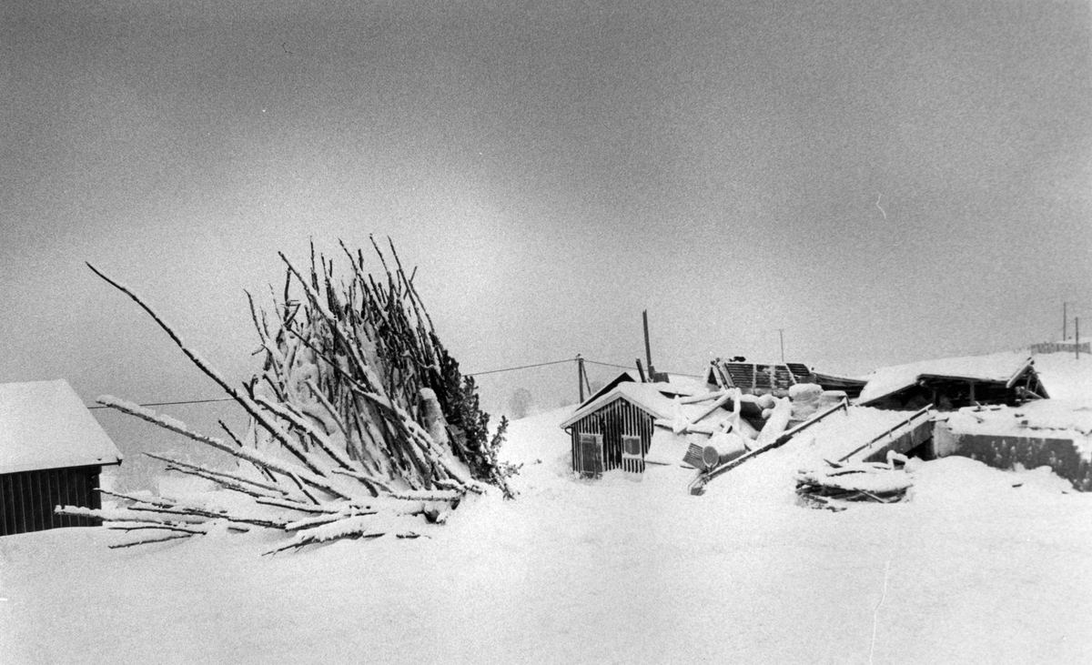 Orkanskader 1988 - Sverre Østgaard, Dalsbygda