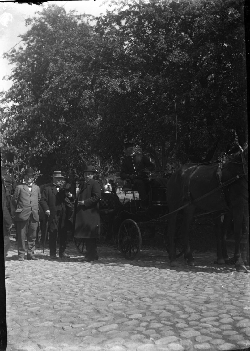 Tre äldre män med hatt och käpp står vid en häst och vagn på en kullerstensbelagd gata, möjligen Brahegatan. De tittar mot fotografen. Ev av dem är sannolikt landshövding Pettersson. En man i livré sitter på kuskbocken. De befinner sig delvis i skuggan av ett högt fruktträd.