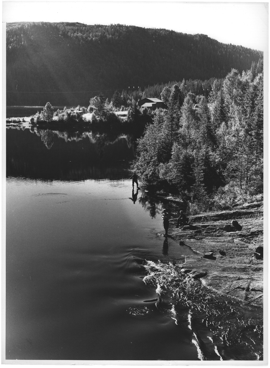 Fisking Krinsvatn i Åfjord. S. Tr.lag