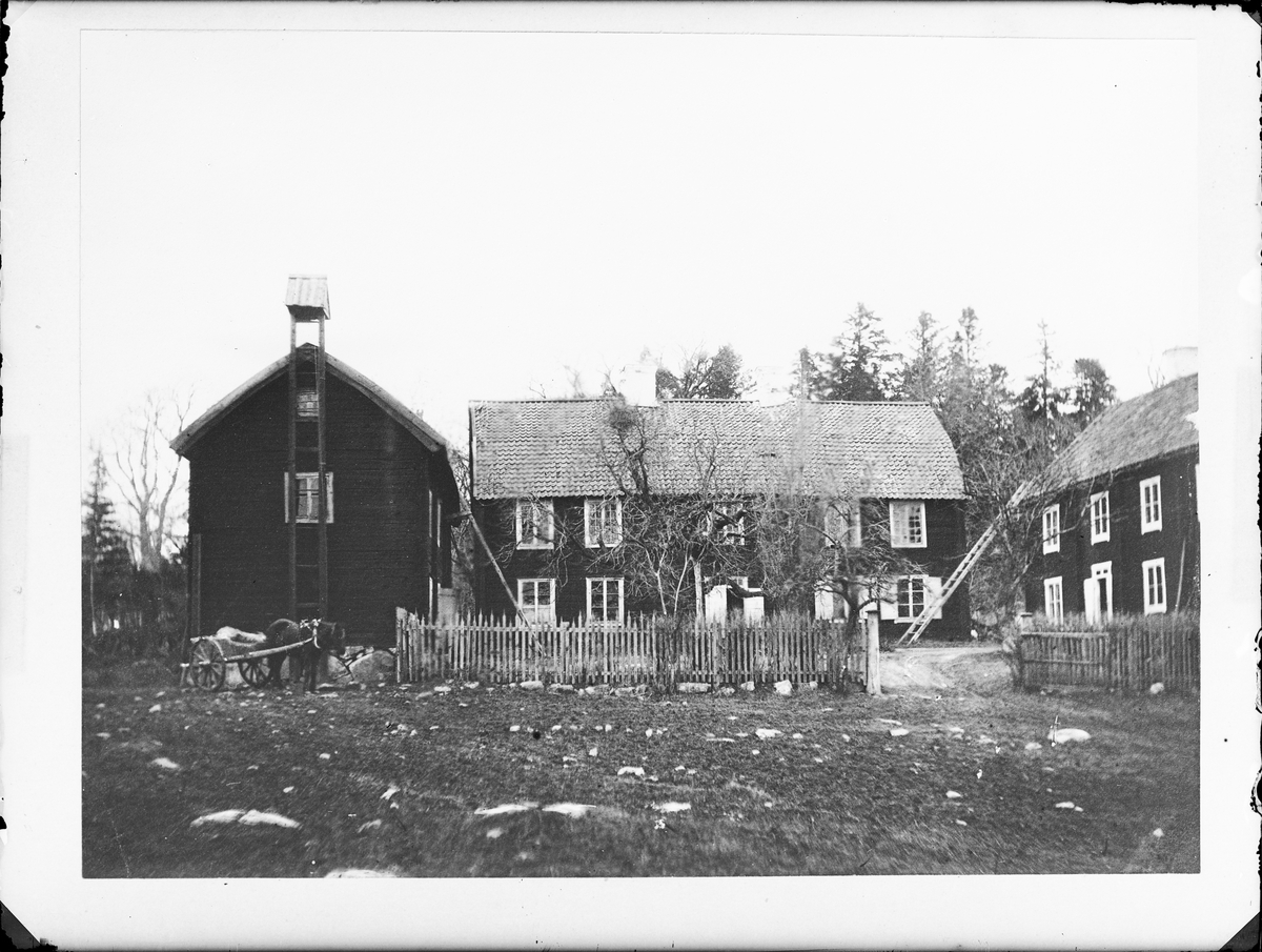 Reprofotografi - Linnés Hammarby, Danmarks socken, Uppland 1878