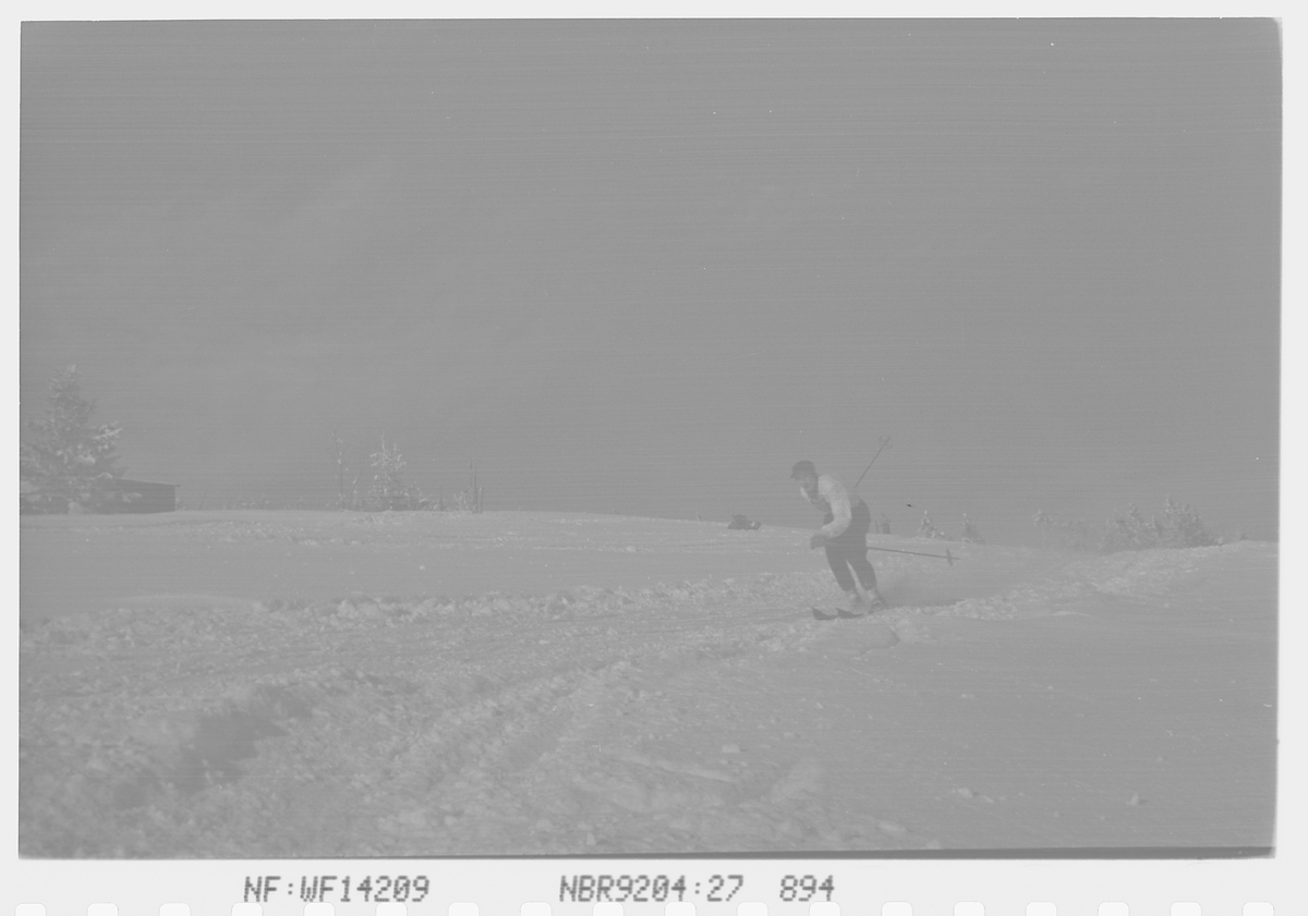 Skiløper i utforbakken på Norefjell, Krødsherad, Viken. Fotografert 1941.