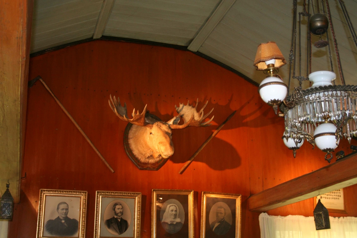 Elghode, gevir, taklampe