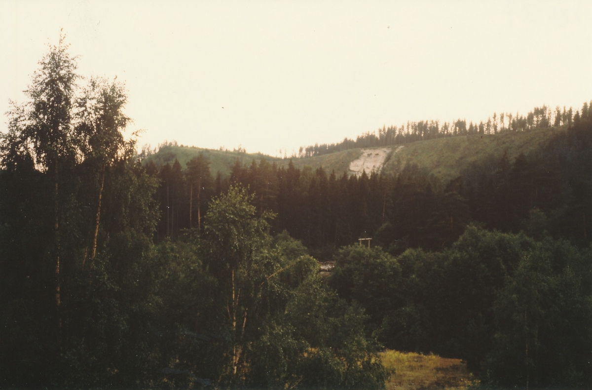 Landskap med skog og en høyde. Utsikt mot sørvest fra Kistefoss.