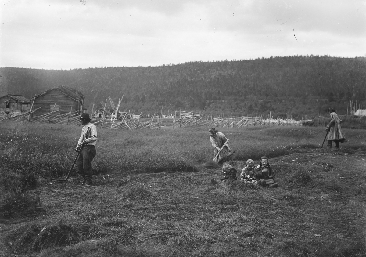 Motiv av en samisk familie i arbeid med slåtten.
