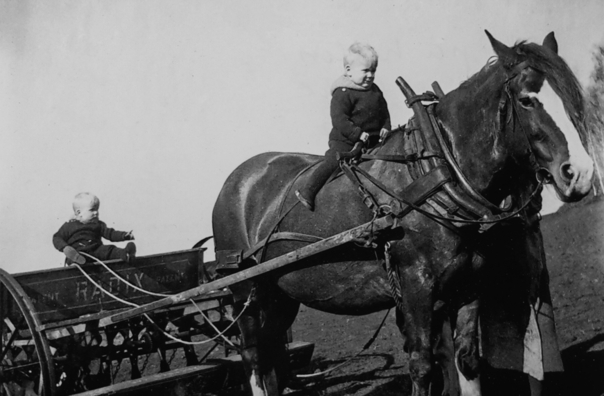 Tvillingene Terje og Thorstein Rustad (født 1937) "hjelper" til med gårds arbeidet på Dælin Østre i Ottestad, Stange.  Thorstein sitter oppe på hesten, Terje sitter bak på en Radix såmaskin og holder i tømmene.