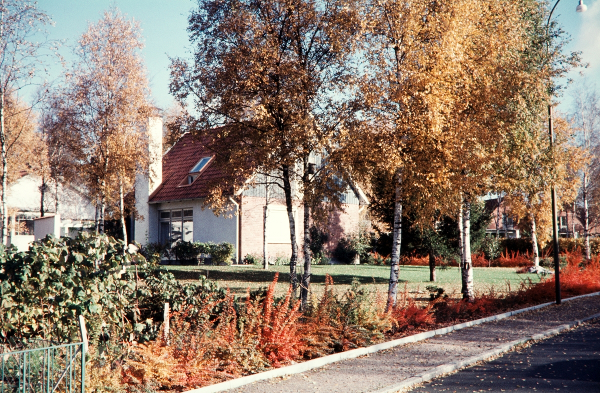 Villa med trädgård på Väster i Växjö, sent 1950-tal.